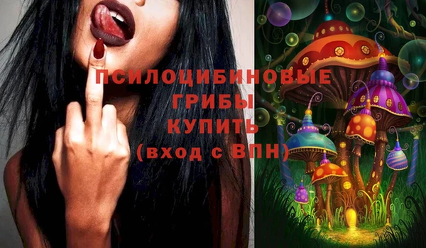 соль ск Волосово
