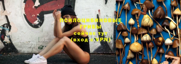 соль ск Волосово