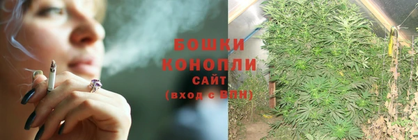 соль ск Волосово