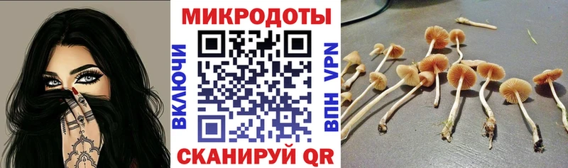 где можно купить   Назарово  Псилоцибиновые грибы Cubensis 